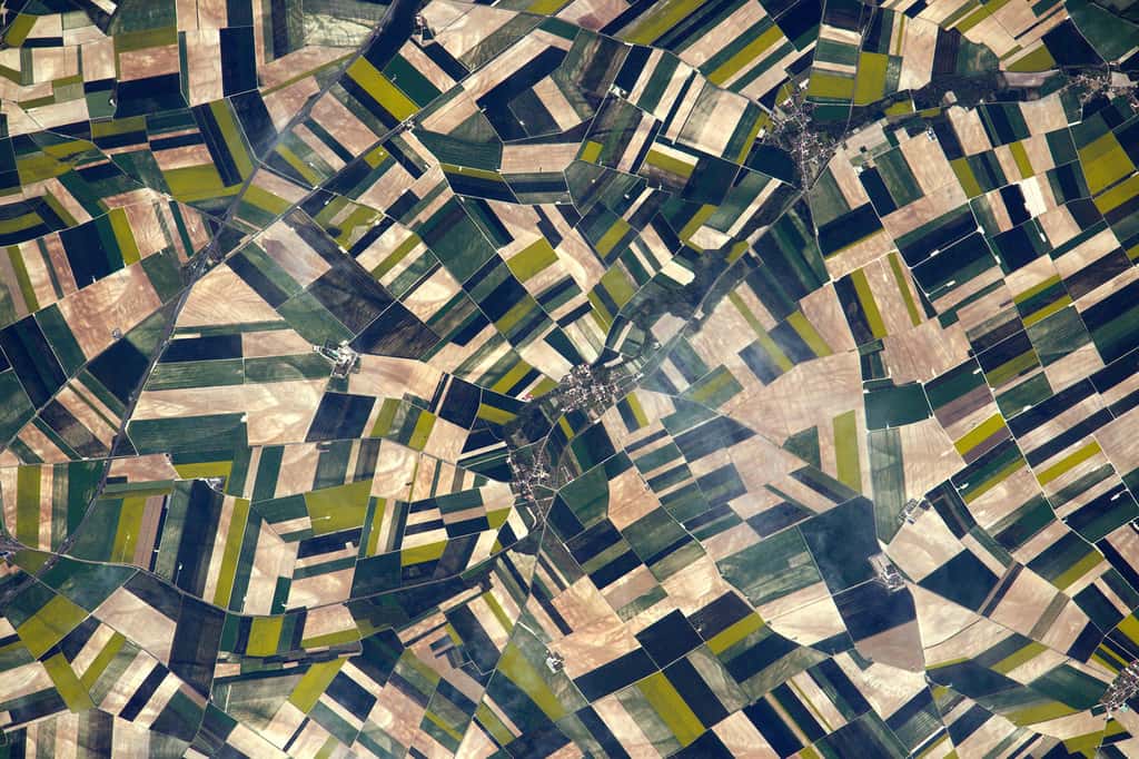 Le suivi des agrosystèmes et des habitats sensibles en zone agricole sera réalisé par Venµs pour la préservation de la biodiversité. Ici, des terres agricoles en Picardie, photographiées par Thomas Pesquet lors de son séjour à bord de la Station spatiale internationale (ISS). © ESA