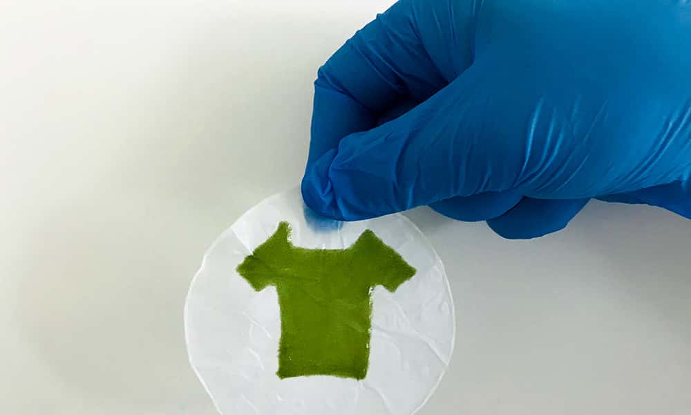 Ce mini tee-shirt est fait d'un matériau vivant et photosynthétique. © Université de Rochester