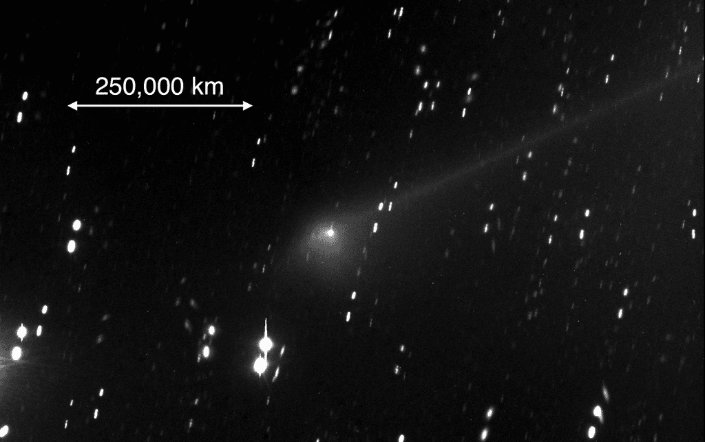 Tchouri photographiée sur Terre, avec le VLT, en avril 2003, lors de sa visite dans le Système solaire interne. Sa chevelure (<em>coma</em>) s’étendait alors sur plusieurs centaines de milliers de kilomètres et la queue de poussières sur plusieurs millions de kilomètres. C’était un an avant le départ de Rosetta. À présent la sonde spatiale se promène autour du noyau, dont l'énigme est impossible à résoudre depuis le sol terrestre. © C. Snodgrass, ESO