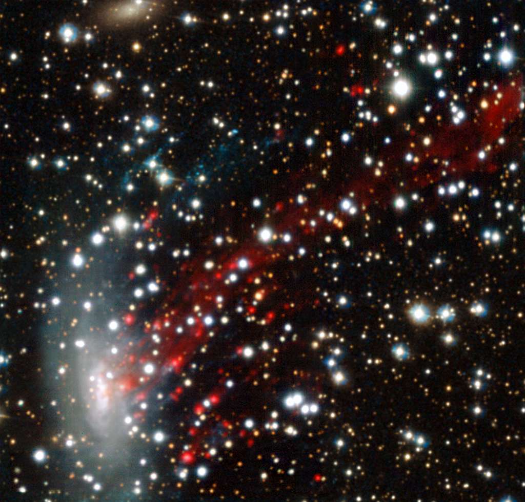 Sur cette image de la galaxie ESO 137-001, on peut observer le gaz arraché à mesure qu’elle plonge vers le grand amas galactique de la Règle. Les taches rouges sont les nuages rougeoyants de gaz d’hydrogène. © Eso, M. Fumagalli