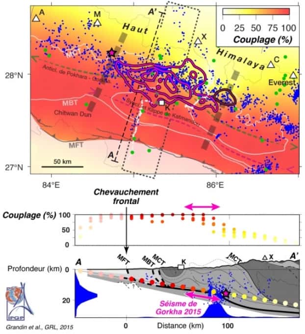 Le couplage intersismique représente la quantité de raccourcissement tectonique qui s’accumule chaque année. Une forte valeur (proche de 100 %, en rouge) indique que l’accumulation de contraintes s’opère à plein régime, tandis qu’une faible valeur (proche de 0 %, en jaune pâle) signifie que les plaques glissent l’une contre l’autre de façon quasi continue. Les points bleus représentent la microsismicité enregistrée régulièrement dans la zone. La bande de microsismicité semble prendre sa source au niveau de la transition entre la partie superficielle du plan de faille, bloquée, et la partie plus profonde, glissant de façon continue et asismique. Le séisme de 2015 semble s’être initié et propagé le long de cette zone de transition, sans toutefois avoir été capable de remonter jusqu’à la surface. Cette carte indique que les zones situées de part et d’autre du séisme de 2015 (à l’est et à l’ouest) accumulaient déjà des contraintes avant 2015. Ces parties ont été « chargées » par le séisme de 2015, sous l’effet d’un transfert de contraintes à distance. De même, la partie située au sud, jusqu’au MFT (en gris), est susceptible de rompre à l’avenir. © Grandin <em>et al.</em> GRL 2015