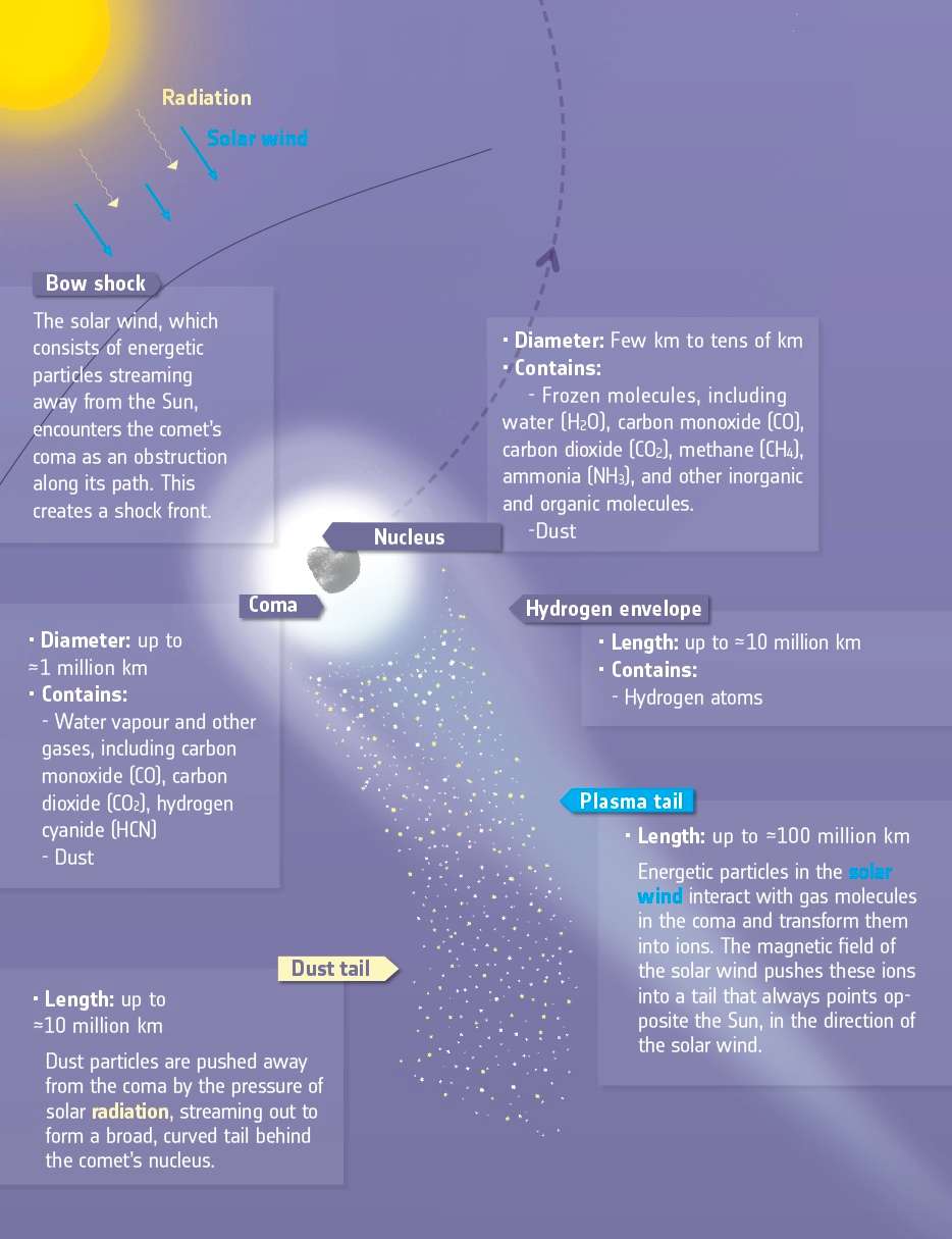 Schéma de l’anatomie d’une comète. Le noyau (<em>nucleus</em>) de Tchouri est enveloppé par la <em>coma</em>, son atmosphère. À la proue, les molécules de la chevelure interagissent avec le vent solaire et créent un front appelé <em>Bow shock</em> (en haut à gauche sur l'image), que les scientifiques de la mission souhaitent étudier durant plusieurs jours dans le cadre de l’expédition inédite de Rosetta, à 1.500 km du centre de l’astre bilobé. Dans son sillage, on observe deux queues (<em>tails, </em>en bas sur l'image) caractéristiques des comètes, l’une de plasma (à l’opposé du Soleil) et l’autre, courbe, de grains de poussière essaimés (dust). Étant trop près du noyau, la sonde de l’Esa ne peut pas les photographier. En revanche, depuis la Terre, l’astrophotographe a pu imager l’ensemble (à voir <a href="https://twitter.com/peachastro/status/644864917787549696" target="_blank">ici</a>). © Esa
