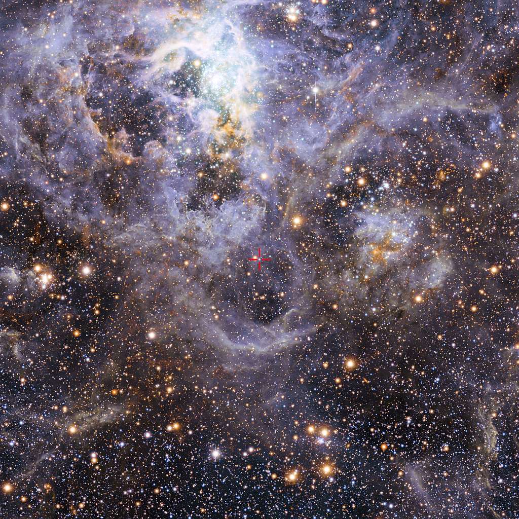 La croix rouge au centre indique la position de la paire d’étoiles très chaudes et massives VFTS 352 au sein de la vaste nébuleuse de la Tarentule dans le Grand Nuage de Magellan, galaxie naine voisine de 160.000 années-lumière de la Terre. Cet étrange système de « binaires en contact » s’achemine certainement vers une fin dramatique : soit la fusion en une unique étoile géante, soit la formation d’un trou noir binaire. Image composite acquise dans le visible par la caméra à grand champ du télescope MPG/ESO de 2,2 mètres à La Silla et dans l’infrarouge avec le télescope Vista de 4,1 mètres, au sommet du mont Paranal. © Eso, M.-R. Cioni, Vista Magellanic Cloud survey