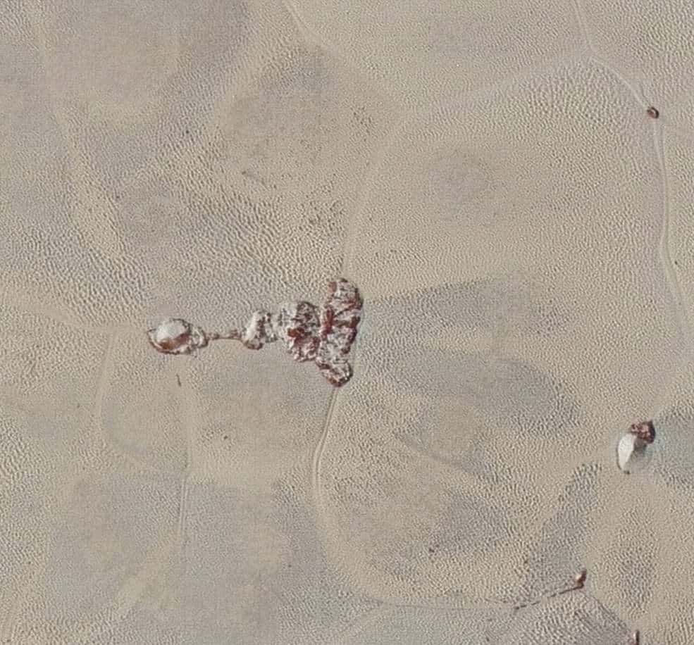 Détail de la plaine Spoutnik, à l’intérieur de la vaste région Tombaugh (surnommée le cœur). Cet agrandissement couvre un espace large de 120 km. Les cellules ressemblent à des écailles voire une peau sur laquelle on distingue des motifs indéterminés qui évoquent des dunes. Les chercheurs n’avaient pas encore eu le plaisir de voir la surface de Pluton avec autant de détails. Des montagnes de glace surnagent dans ce paysage extraordinaire façonné par différentes forces. © Nasa, JHUAPL, SwRI