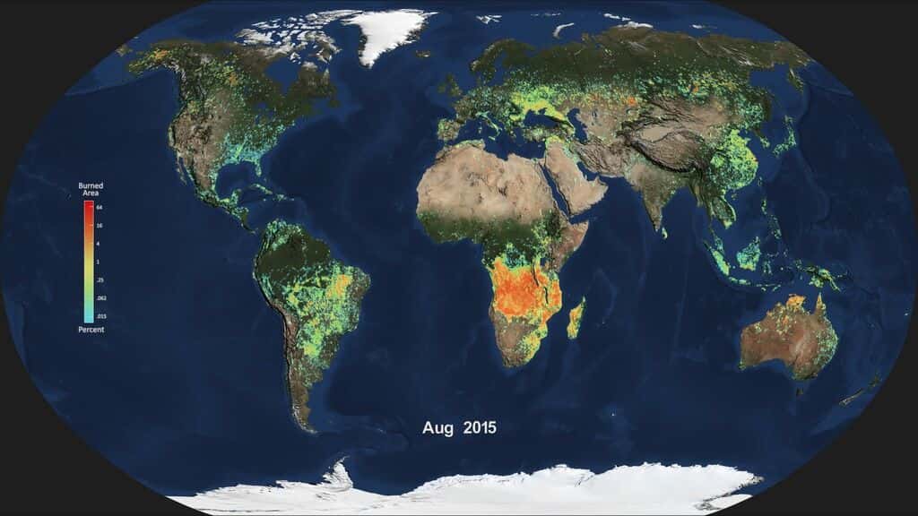 Territoires touchés par des incendies de forêt en août 2015. La couleur orange indique les régions où ils sont plus nombreux. © Nasa