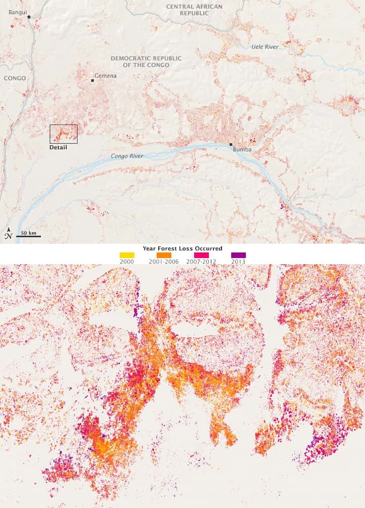 Image du haut : évolution du couvert forestier dans la seule région de République démocratique du Congo (RDC). En bas, agrandissement du détail encadré dans l’image au-dessus. Les cartes ont été créées à partir des données collectées entre 2000 et 2013 et indiquent, selon la couleur, la période où des changements sont intervenus sur les forêts. © Joshua Stevens (<em>Nasa Earth Observatory</em>), <em>Global Forest Change</em>, Hansen <em>et al.</em>, UMD