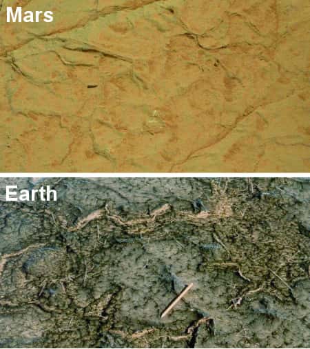 Formes craquelées à la surface d’une roche sédimentaire martienne (photographié par Curiosity) qui, selon Nora Noffke, présente des similitudes avec les colonies microbiennes terrestres comme celles de Bahar Allouane, en Tunisie. © Nasa, N. Noffke