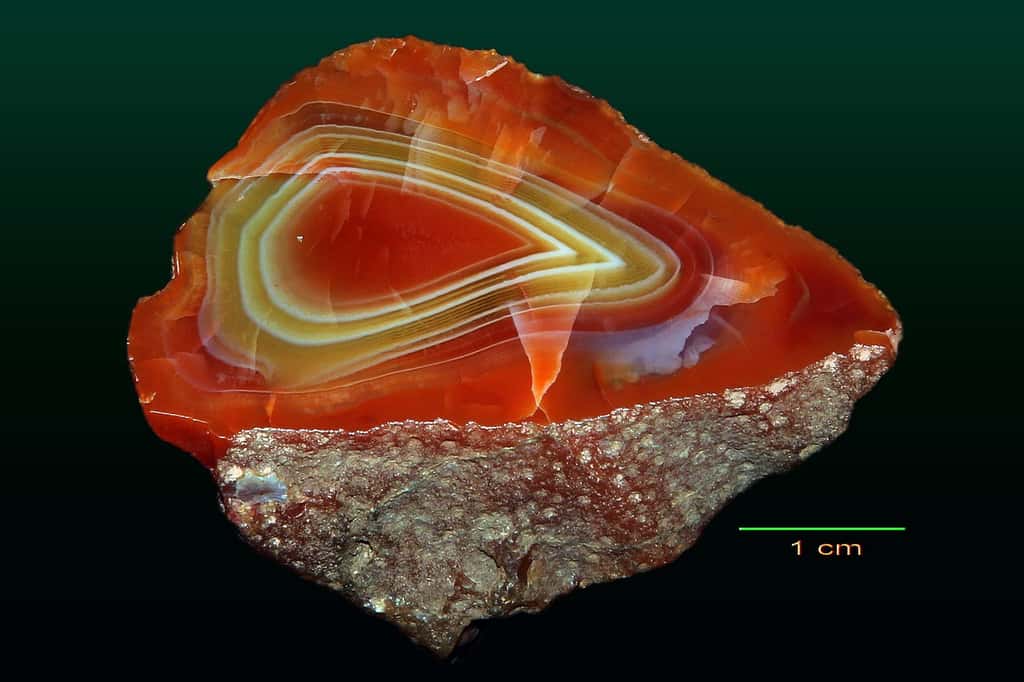 Exemple d'agate. © Lech Darski, Wikimedia Commons, CC by-sa 4.0 