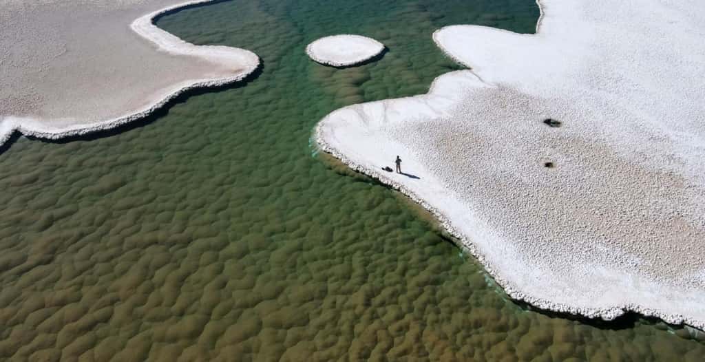 Les lagunes du plateau de la Puna de Atacama renferment un écosystème unique qui pourrait être analogue à ceux de l'Archéen. © Brian Hynek