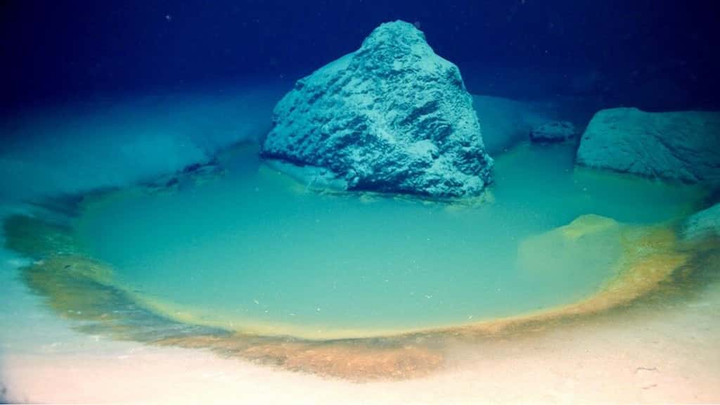 L'un des lacs de saumure découvert au fond de la mer Rouge. © Purkis et al. Nature Communications, 2022