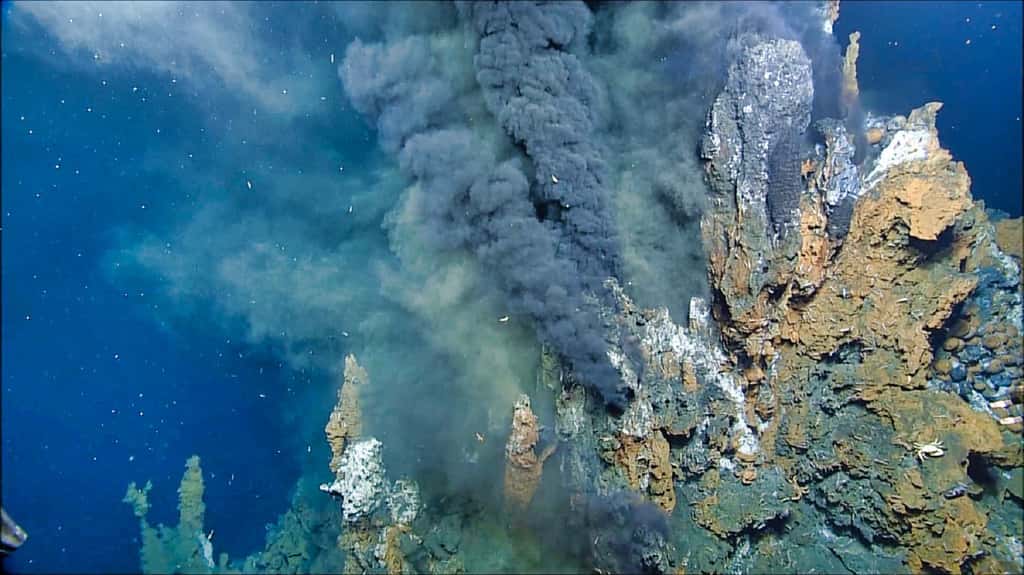 Les sources hydrothermales, au fond de l'océan, sont associées à l'intense activité magmatique qui se joue au niveau des dorsales océaniques. © USGS, domaine public