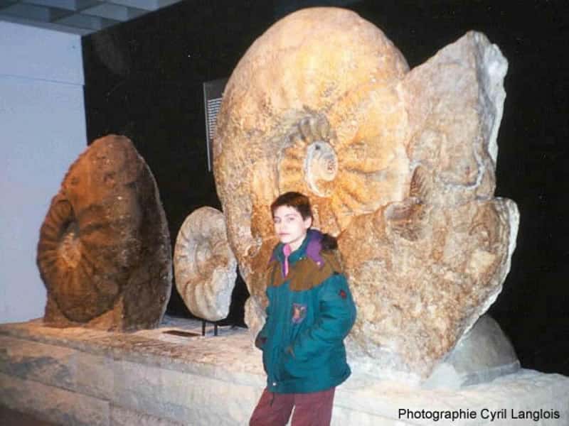 La plus grande ammonite du monde se trouve au musée de paléontologie de Münster, en Allemagne. © 2002 Cyril Langlois, planet-terre.ens-lyon.fr