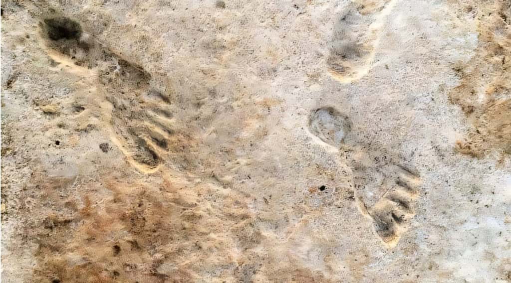 Ces empreintes de pas découverte aux États-Unis (White Sands) dateraient bien de 23 000 ans. © Cornell University