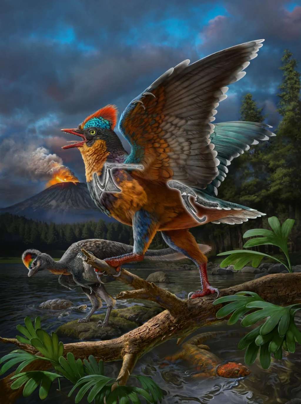 Reconstruction artistique de <em>Baminornis zhenghensis</em> dans son environnement il y a 149 millions d'années. © Chuang Zhao