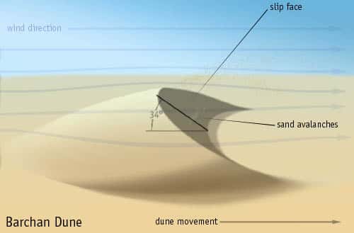 Dune de type barkhane, en forme de croissant. © <em>Wikimedia Commons</em>, CC by-sa 3.0