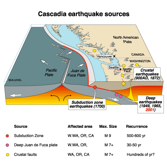 Schéma d’une marge active : la zone de subduction de Cascadia, où la plaque Juan de Fuca plonge sous plaque nord-américaine au niveau de la bordure continentale. © Arg, <em>Wikimedia Commons</em>, domaine public