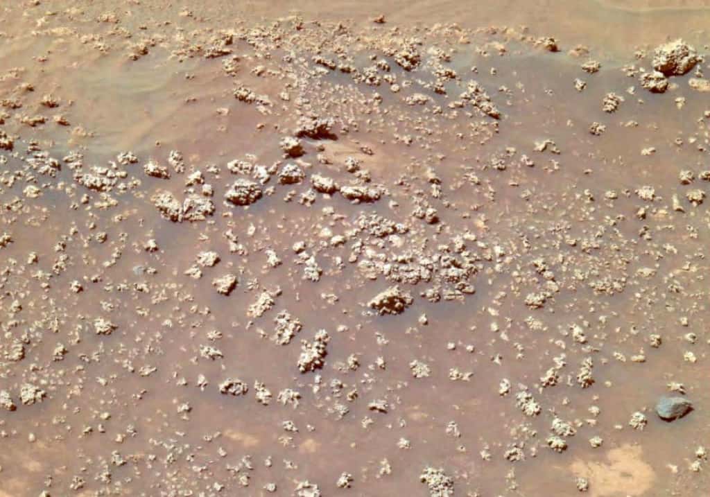 Les « Cauliflowers » photographiées par le rover Spirit en 2008 dans le cratère Gusev. © Nasa/JPL-Caltech Cauliflower Spirit Mars