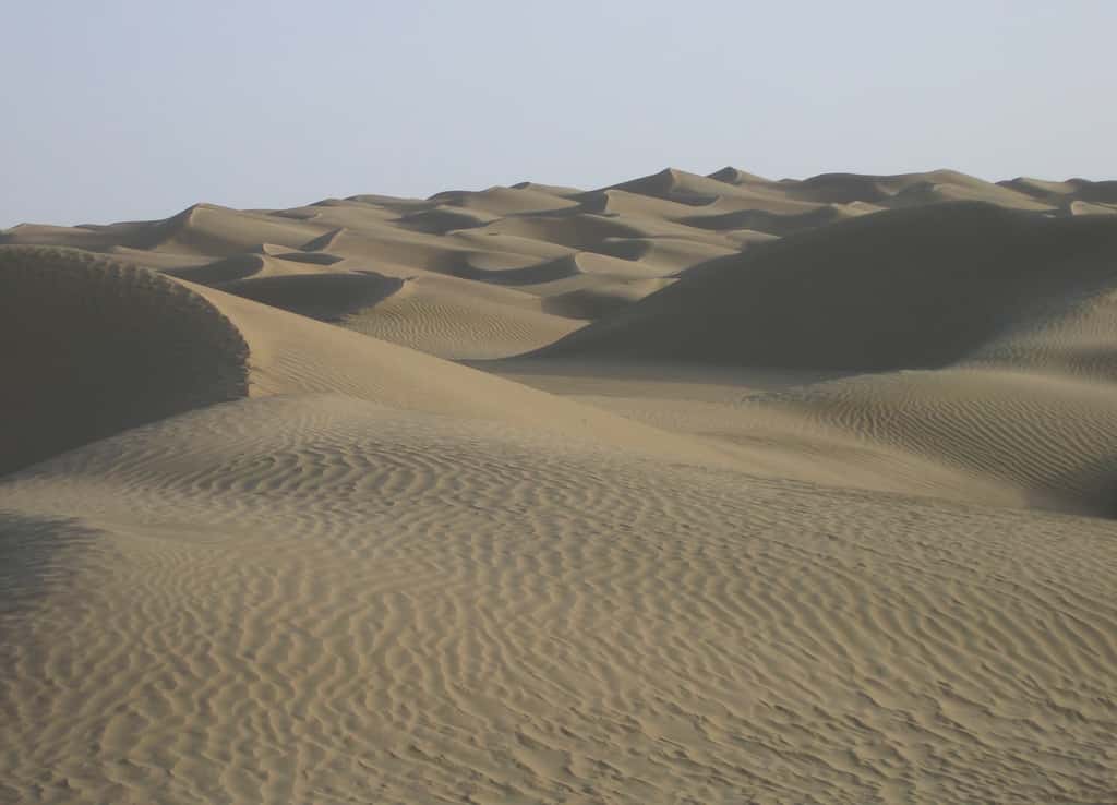 Dans le désert du Taklamakan, le vent façonne et remodèle sans cesse les dunes. © 6-A04-W96-K38-S41-V38, <em>Wikimedia Commons</em>, cc by-sa 4.0