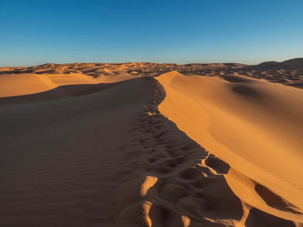 Le champ de dunes du Grand Erg occidental dans le Sahara © Camille Gillet, <em>Wikimedia Commons</em>, cc by-sa 4.0