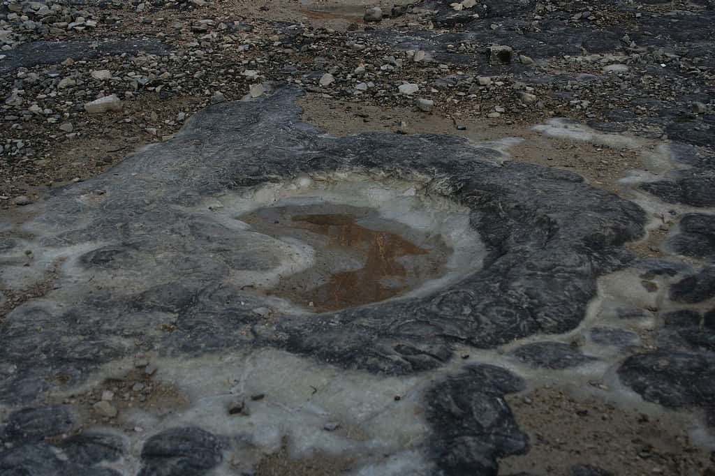 Les sédiments calcaires du Jura sont typiques de la période Jurassique et lui ont d'ailleurs donné son nom. Ici, une empreinte de dinosaure sur le site de Loulle. © Jeffdelonge, <em>Wikimedia Commons</em>, CC by-sa 3.0