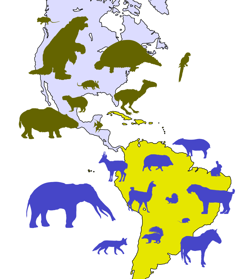 La formation de l'isthme du Panama a conduit aux mélanges des faunes distinctes d'Amérique du Nord et d'Amérique du Sud © Woudloper, Wikimedia Commons, CC BY-SA 1.0 