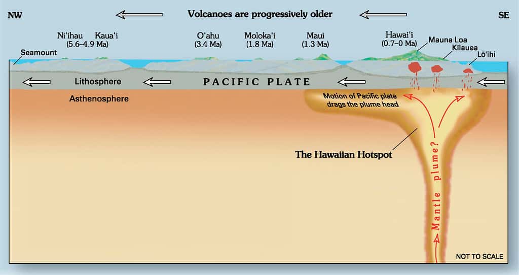 Diagramme montrant le point chaud d’Hawaï et le mouvement de la plaque pacifique au-dessus. © Joel E. Robinson, USGS., <em>Wikimedia Commons</em>, domaine public