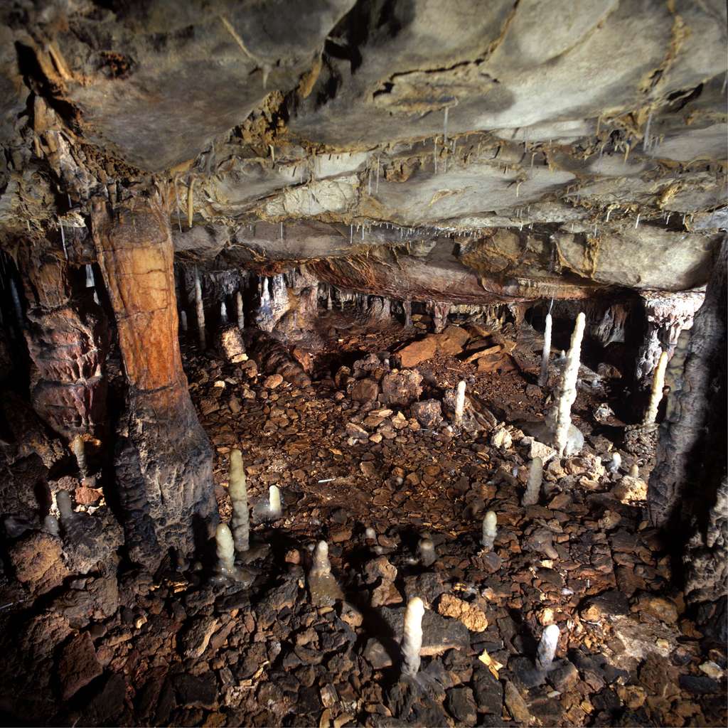 Le site de l'ancien habitat magdalénien dans la grotte de La Garma. © <em>Gabinete de Prensa del Gobierno de Cantabria</em>, <em>Wikimedia Commons</em>, CC by 3.0 ES 