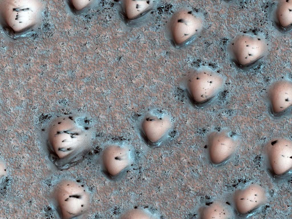 On pourrait croire qu’il s’agit de petits coquillages posés à la surface d’une plage de sable. Ces structures bombées sont en réalité des dunes de sable mesurant une centaine de mètres, situées dans la région du pôle nord de Mars. Les zones bleutées signent la présence de glace carbonique qui commence à se sublimer avec l’arrivée du printemps. Cette vaporisation de la glace expose localement le sable plus sombre situé en-dessous. © Nasa/JPL-Caltech/UArizona