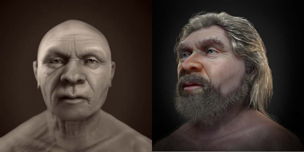 Les nouvelles reconstructions faciales de l'homme de la Chapelle-aux-Saints. © Moraes et al. 2023