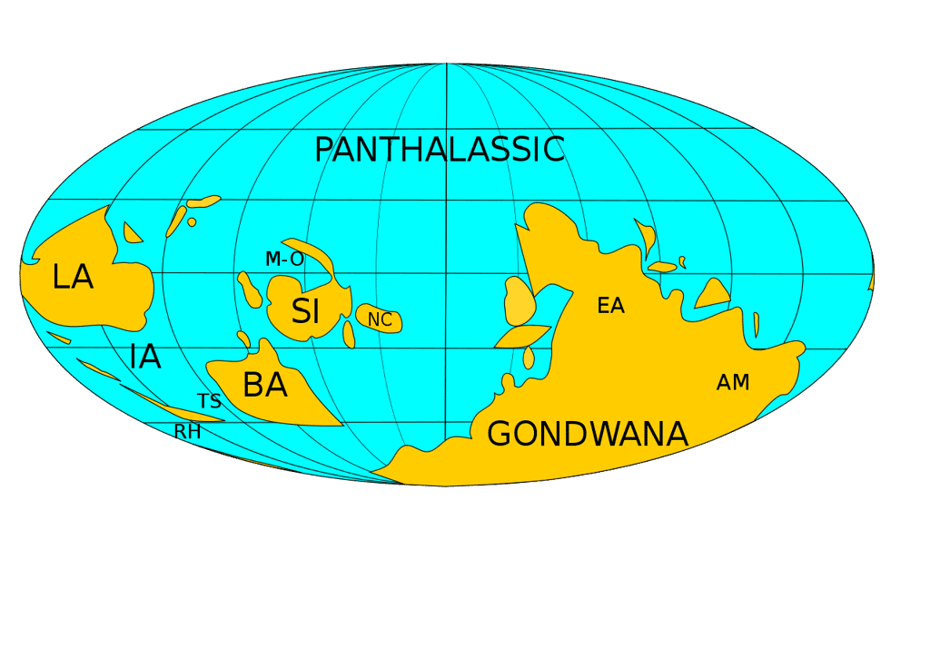 Configuration des plaques tectoniques au début de l'Ordovicien, 470 Ma. Le paléocontinent Laurentia est désigné par les lettres LA. © Kent G. Budge, <em>Wikimedia Commons</em>, CC0