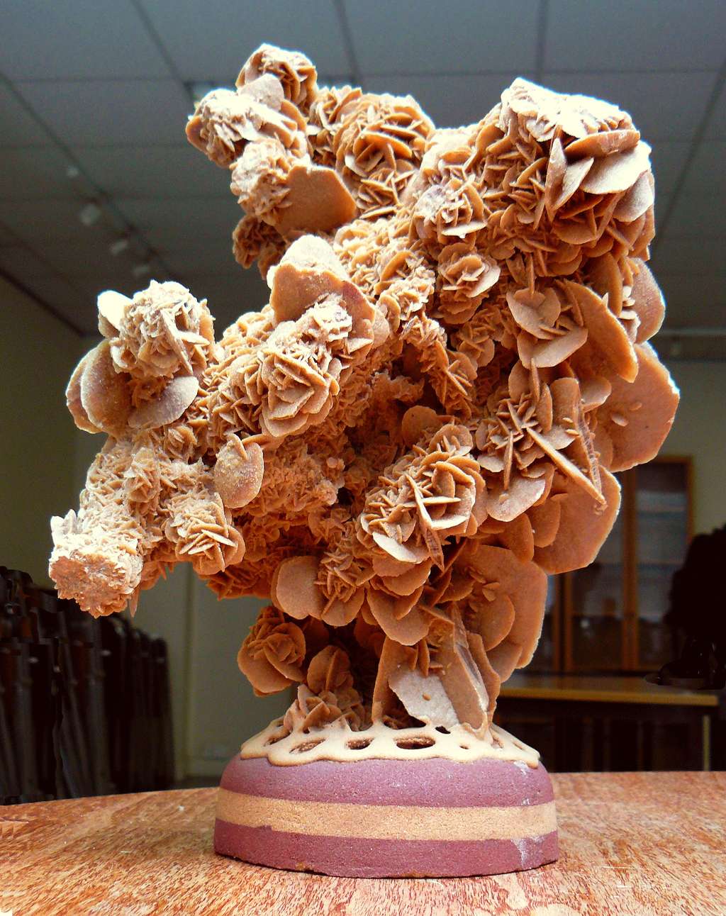Les roses des sables sont des formes cristallisées du gypse © Siren-Com, Wikimedia Commons, cc by-sa 4.0
