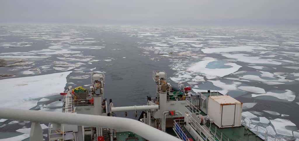 C'est lors d'une campagne océanographique dans l'océan Arctique à proximité du Svalbard qu'ont été prélevés les actinomycètes présentant un intérêt pour la lutte contre E. coli. © Yannik Schneider