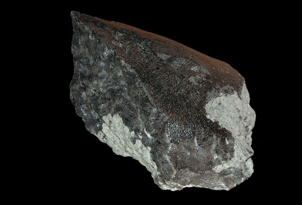 Un fragment de la météorite de Tissint. © The paleobear from Lontananza, Loreto, Peru, Wikimedia Commons, CC BY 2.0