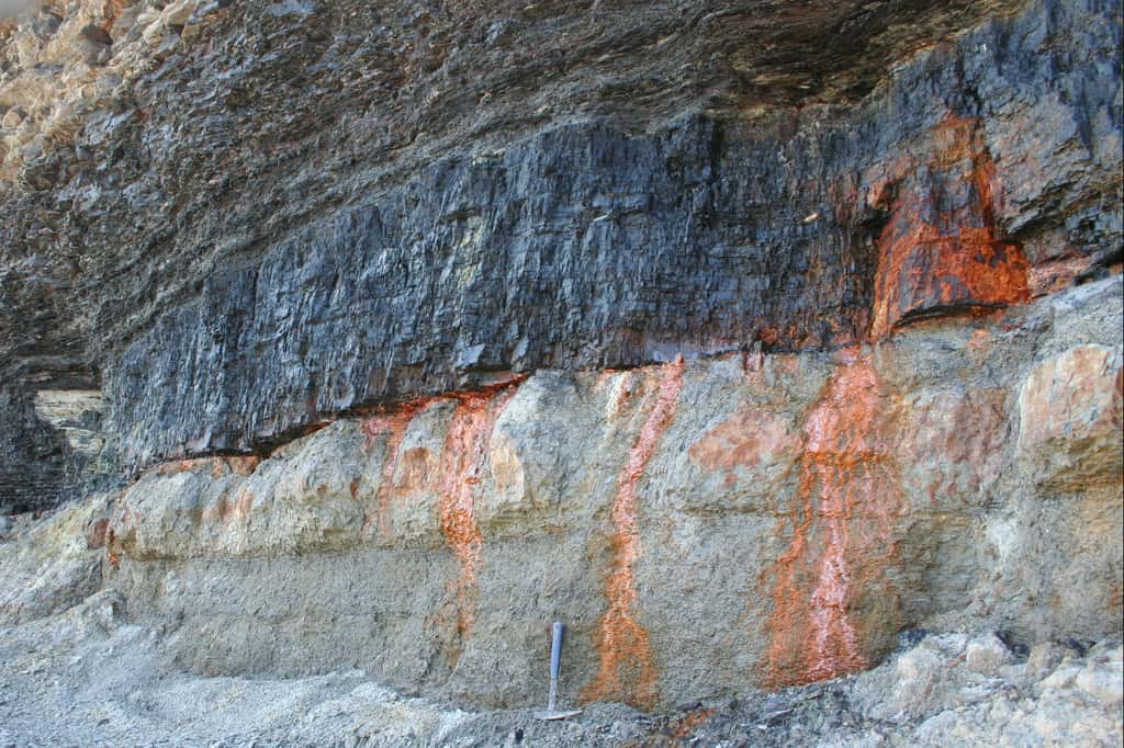 Affleurement d’un niveau de charbon bitumineux (littoral de Nouvelle-Écosse). © Rygel, M.C., CC by-sa 3.0, Wikimedia Commons 
