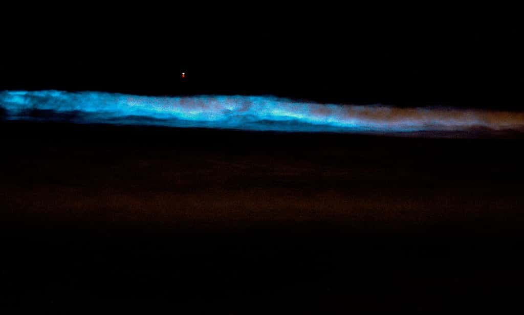 Les microalgues<em> Lingulodinium polyedra</em> sont bioluminescentes et émettent une lumière bleutée lorsqu’elles sont agitées par les vagues, ici sur la côte californienne. © Niels Olson, CC BY-SA 3.0, Wikimedia Commons