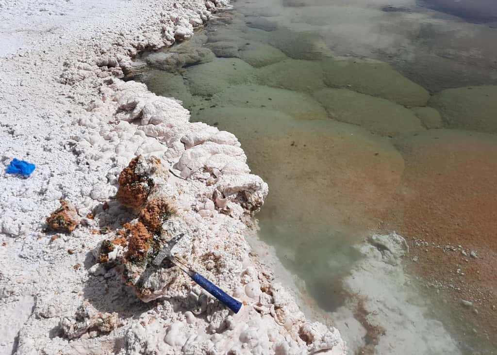 Les chercheurs ont cassé un morceau de stromatolite (formes en dôme au fond de l'eau) pour étudier leur composition. © Brian Hynek