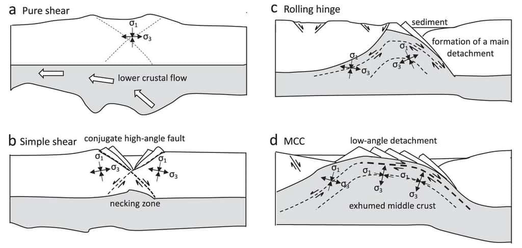 Modèle de formation des dômes métamorphiques composant la région du <em>Basin and Range : </em>fluage de la croûte inférieure au niveau de la racine crustale, sous l'effet du poids de la chaîne de montagnes et de l'extension (a), effondrement de la chaîne de montagnes et développement de failles normales (b), remontée de matériel profond le long d'une faille de détachement (c) et formation d'un dôme métamorphique (MCC) en surface (d). © Bahadori et al. 2022, <em>Nature Communications</em>, CC BY 4.0 