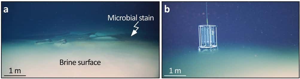 À gauche (a), les colonies de microbes sont visibles sur le pourtour du lac de saumure. À droite (b), les mesures réalisées dans le niveau d'eau saumâtre. © Purkis et al. 2022, <em>Nature Communications </em>