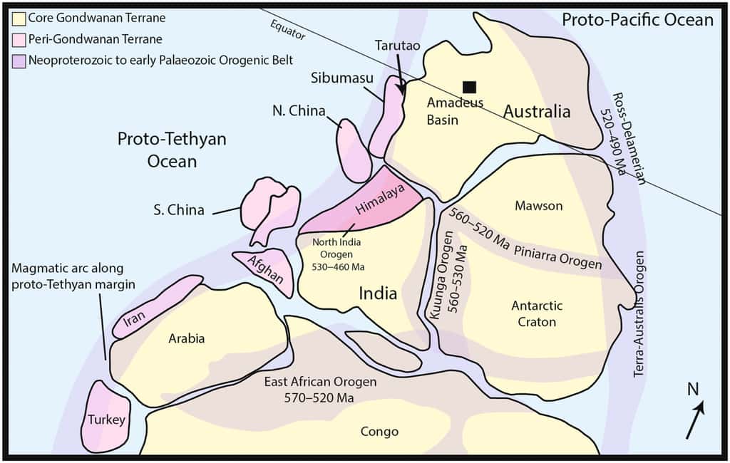 Reconstruction paléogéographique du Gondwana. L'île de Ko Tarutao est pointée par une flèche, au contact de ce qui deviendra plus tard l'Australie. © Wernette et al. 2023, <em>Palaeontology</em>