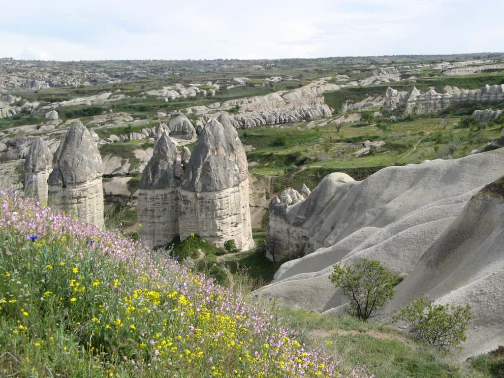 Ces cheminées de fées en Turquie ont été créées par l'érosion. Les couches les plus friables ont été localement préservées par la présence d'un niveau plus dur les recouvrant. © Carolina Cavazos-Guerra, imaggeo.egu.eu