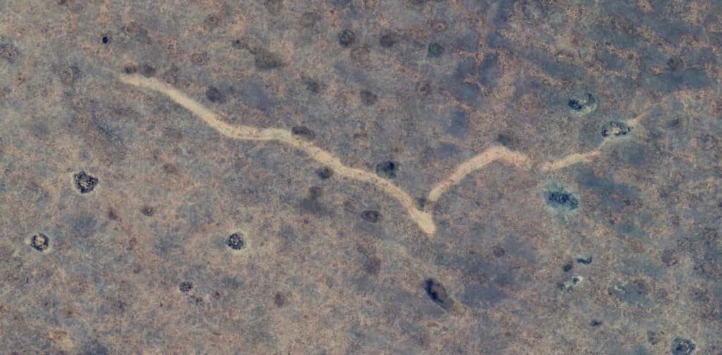 Cette étrange marque dans le paysage désertique de la plaine de Nullarbor en Australie a été identifiée par hasard sur <em>Google Earth.</em> © <em>Google Earth</em>, Matej Lipar, <em>The Conversation</em>