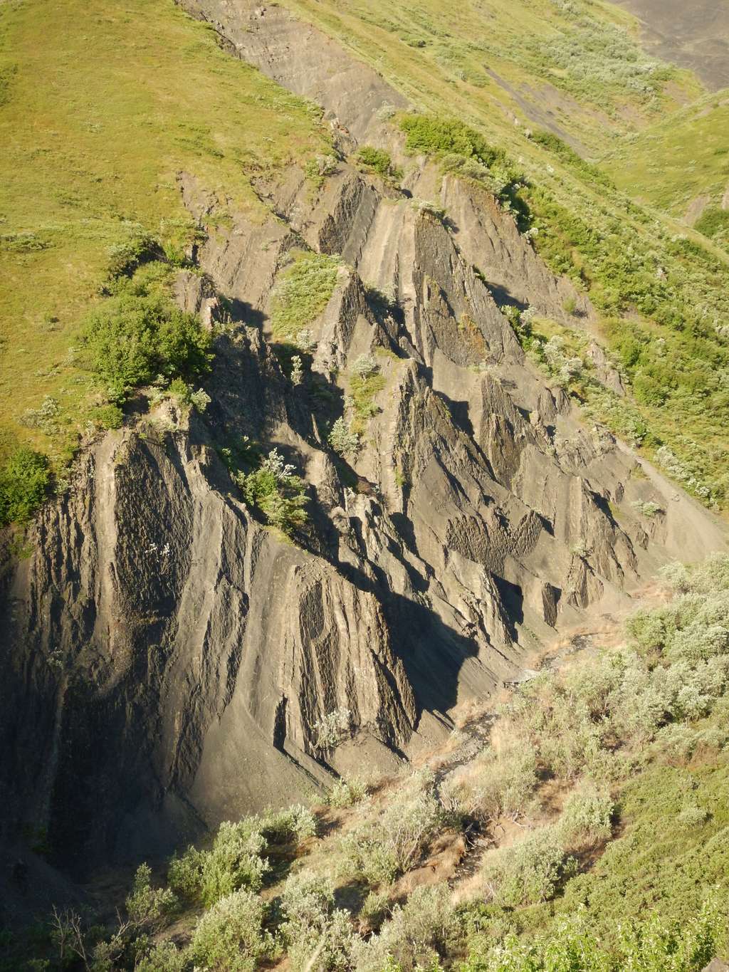 Le site dit du « Colisée » en Alaska. Les strates verticales partiellement érodées dévoilent des surfaces d'âges différents sur lesquelles de très nombreuses traces de dinosaures ont été imprimées. © Patrick Druckenmiller