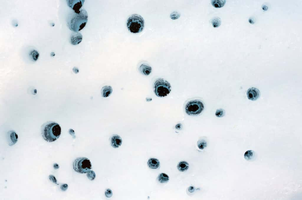 Cryoconites dans le glacier Matanuska en Alaska. © Kimberly Casey, CC by-nc sa 4.0