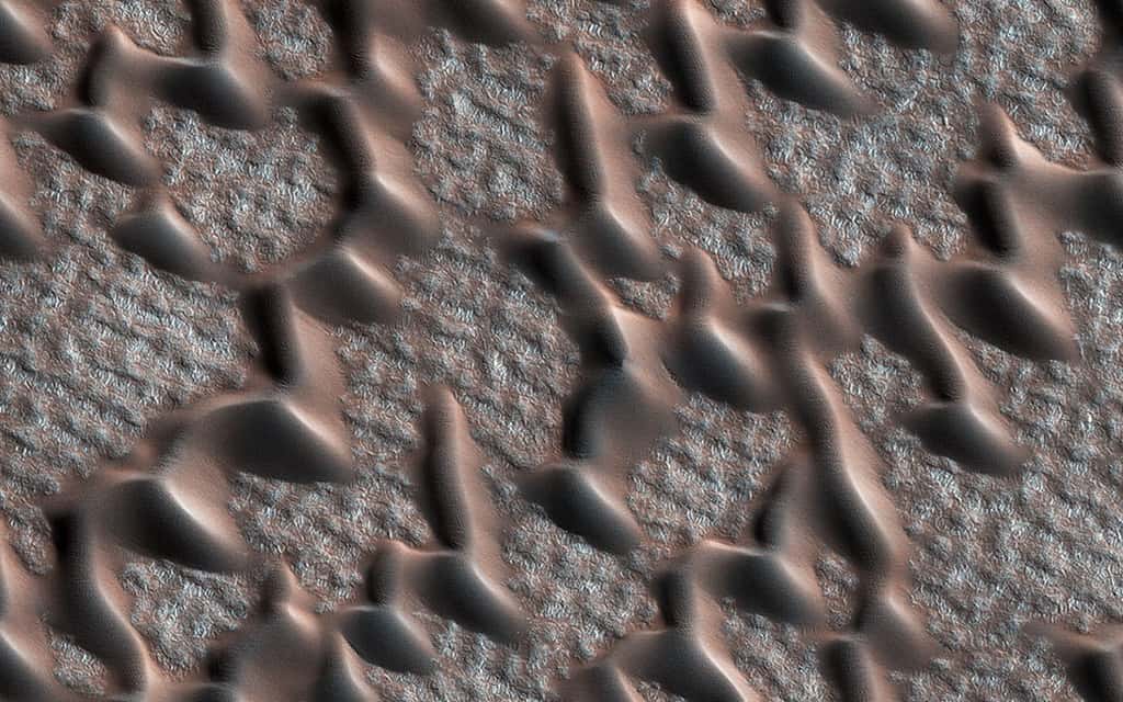 Le sol autour de ces dunes en forme de dent de requin est texturé par les multiples épisodes de sublimation de la glace. © Nasa/JPL-Caltech, <em>University of Arizona</em>