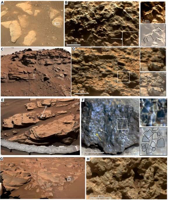 Détail des roches échantillonnées par Perseverance sur les sites de Séitah et Maaz, à l'intérieur du cratère Jezero. © Wiens et al. 2022, <em>Science Advances</em>, CC by-nc 4.0