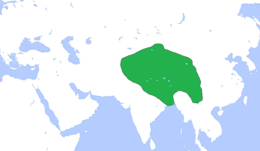 Extension de l'Empire tibétain à son apogée, vers l'an 800. © Gabagool, Wikimedia Commons, CC by 3.0 