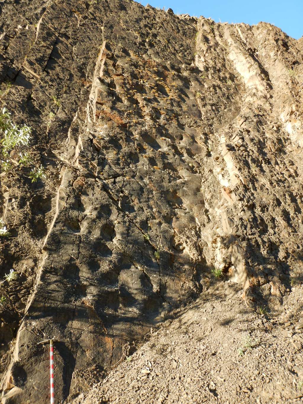Détail des parois où sont visibles des traces d'Hadrosaures (dinosaures à bec de canard). Une seconde surface, à droite, plus récente, semble également porter de nombreuses empreintes. © Patrick Druckenmiller