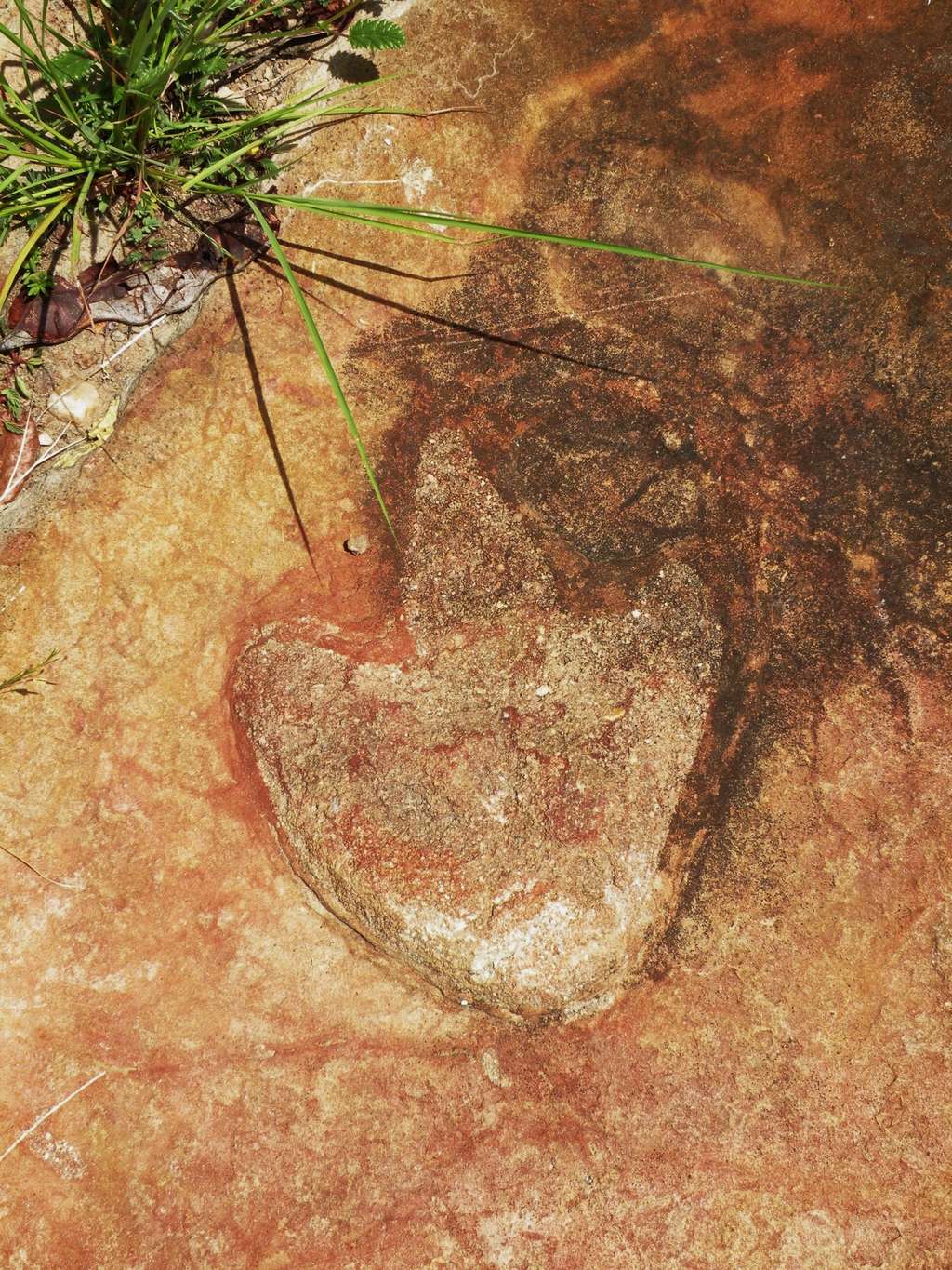 Empreinte fossile de théropode, Sousa Basin (Brésil). © Ismar de Souza Carvalho