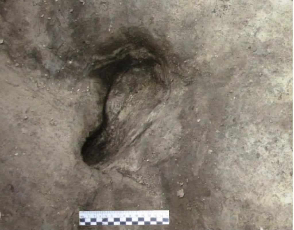 Une empreinte de pas humaine datant de 300 000 ans découverte sur le site de Schöningen en Allemagne. © <em>University of Tübingen</em>