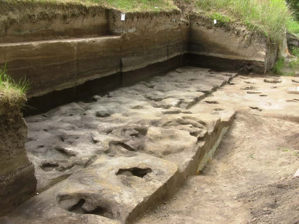 Le site de Schöningen renferme tout un ensemble de traces d'origine animale et d'origine humaine imprimées dans la boue d'un ancien lac du Paléolithique. © <em>University of Tübingen</em>